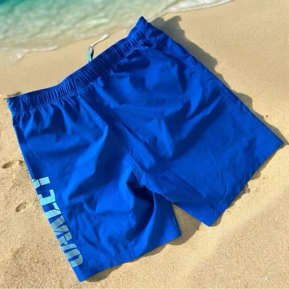 Oakley Blue Board Shorts Quick-Drying Swimwear - Picture 2 of 3